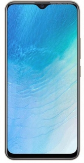 Y19